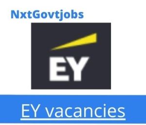 EY Analysis Manager Vacancies in Johannesburg 2022