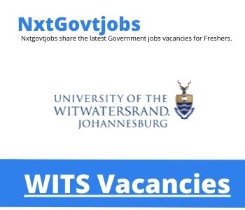 WITS Lecturer Chemistry Vacancies in Johannesburg 2023