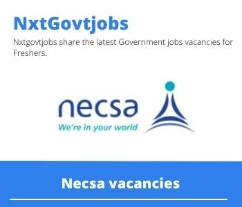 Necsa Group Executive Vacancies in Johannesburg 2023