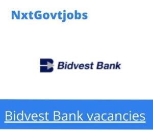Bidvest Bank Data Modeler Vacancies in Sandown 2022