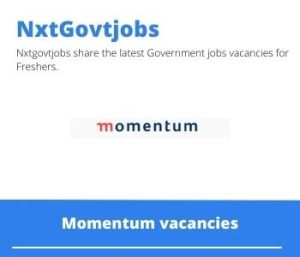 Momentum Java Developer Vacancies in Centurion 2023