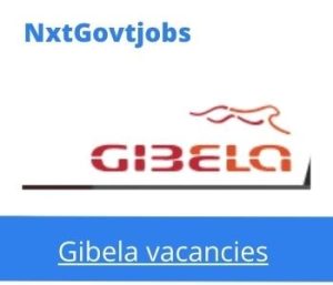 Gibela Final Quality Manager Vacancies in Johannesburg 2022