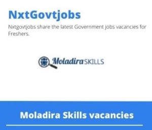 Moladira Skills Business Development Officer Vacancies in Johannesburg 2023