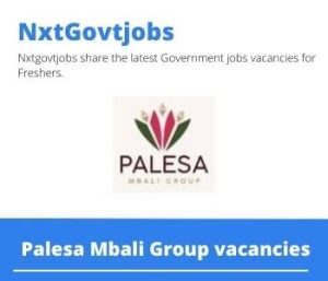 Palesa Mbali Group Senior Marketing Lead Vacancies in Johannesburg 2022