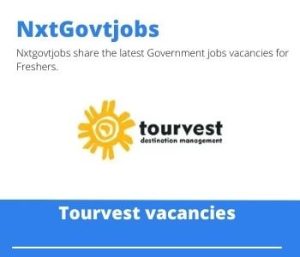 Tourvest It End User Support Vacancies in Johannesburg 2023