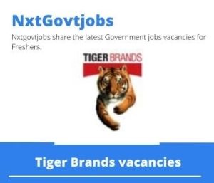 Tiger Brands Manufacturing Analyst Vacancies in Johannesburg 2023