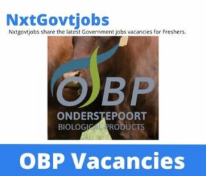 OBP Security Manager Vacancies in Johannesburg 2023