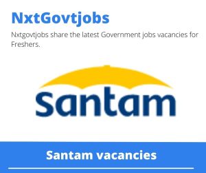 Santam Risk Manager Specialist Solutions Vacancies in Johannesburg 2023