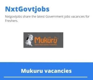 Mukuru Functional Consultant Vacancies in Johannesburg – Deadline 02 Jun 2023