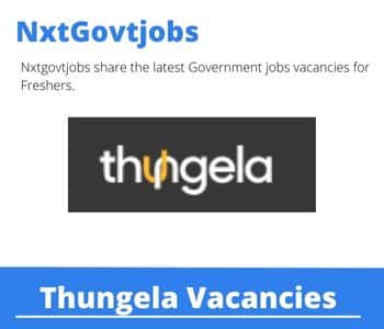 Thungela Reward Specialist Vacancies in Johannesburg – Deadline 20 Sep 2023