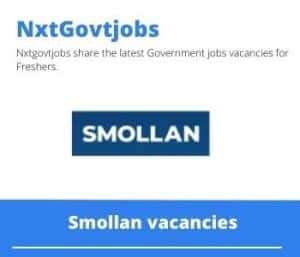 Smollan Junior Project Manager Vacancies in Vaal Rand – Deadline 30 June 2023