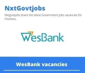 WesBank Administrator Vacancies in Johannesburg – Deadline 31 Jul 2023