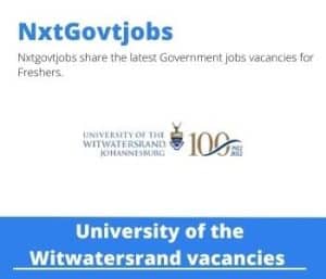 WITS Doctoral Research Fellow Vacancies in Johannesburg – Deadline 15 June 2023