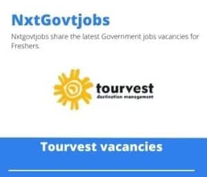 Tourvest Sales Executive Vacancies in Johannesburg – Deadline 20 Sep 2023