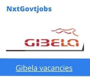 Gibela Senior Technician Driver Vacancies in Midrand – Deadline 20 Aug 2023
