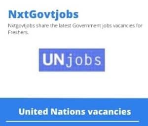 United Nations Party Chief Vacancies in Pretoria – Deadline 23 May 2023