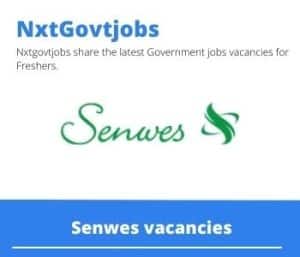 Senwes Marketing Coordinator Vacancies in Centurion- Deadline 18 May 2023