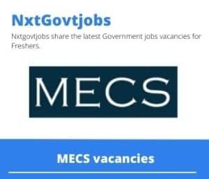 MECS Senior Project Engineer Civil Vacancies in Johannesburg- Deadline 18 May 2023