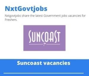 Suncoast Data Analyst Vacancies in Johannesburg – Deadline 31 May 2023