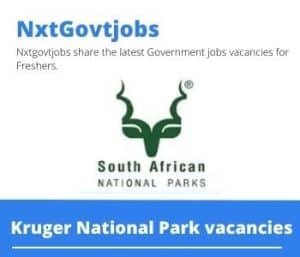 Kruger National Park Biodiversity Economic Projects Lead Vacancies in Vereeniging- Deadline 20 Jun 2023